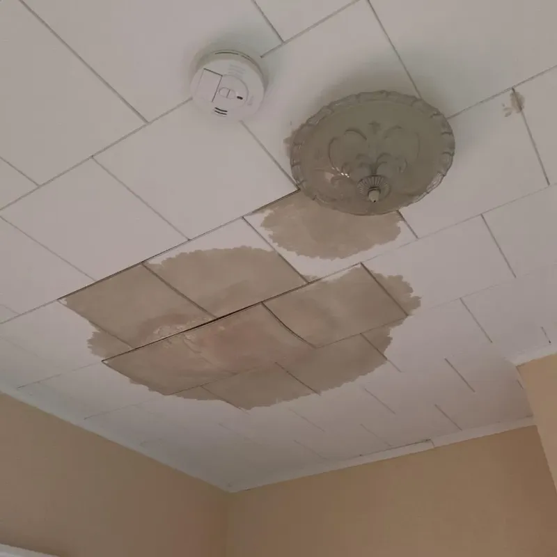 Ceiling Water Damage Repair in Kenton, OH