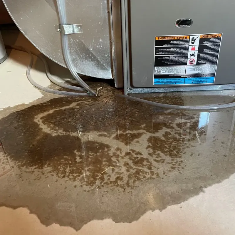 Pipe Burst and Leak Restoration in Kenton, OH