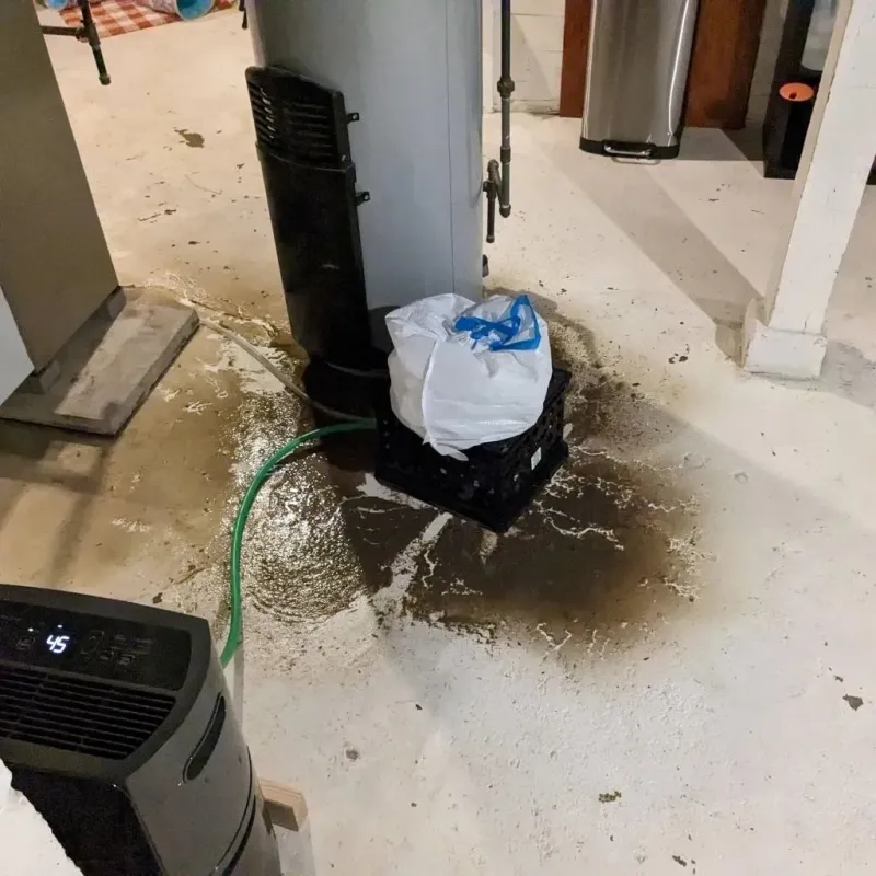 Sewage Backup Cleanup Service in Kenton, OH